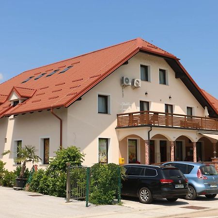 Apartments Vila Leska Zgornji Leskovec Экстерьер фото